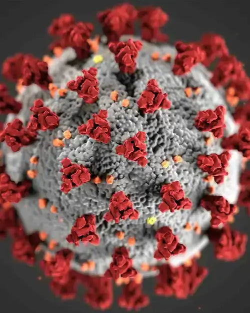 OUTBREAK OF CRYPTOSPORIDIOSIS IN SOUTH DEVON, UK: WHAT YOU NEED TO KNOW