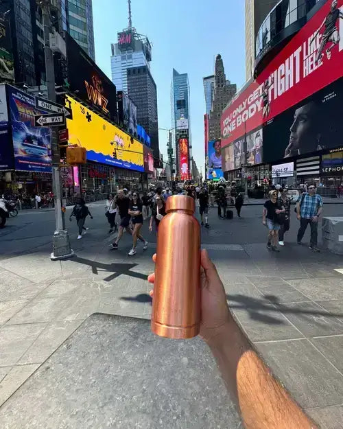 PAANI VISITS USA - OUR NEW YORK EXPERIENCE